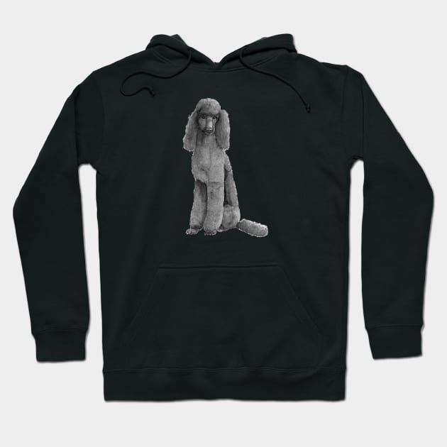 Poodle standard - black Hoodie by doggyshop